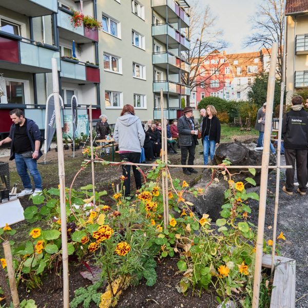 20251105-hanova_BioWoQ_Friedlaender_Weg_ 95