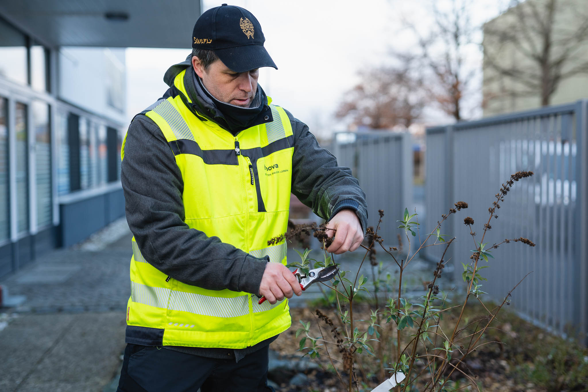 Mitarbeiter hanova SERVICES stutzt einen Busch