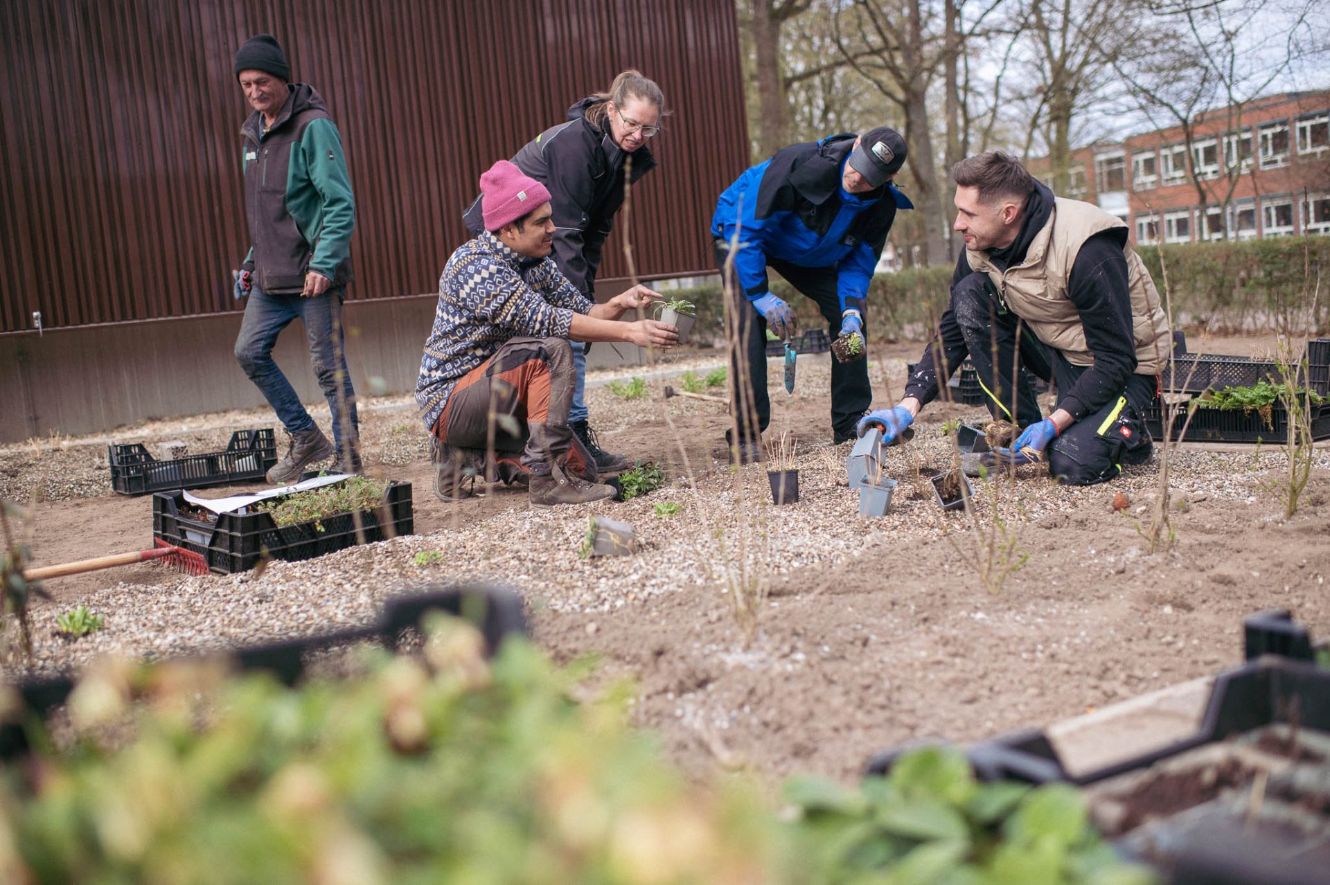 Eine Gruppe bepflanzt einen Garten