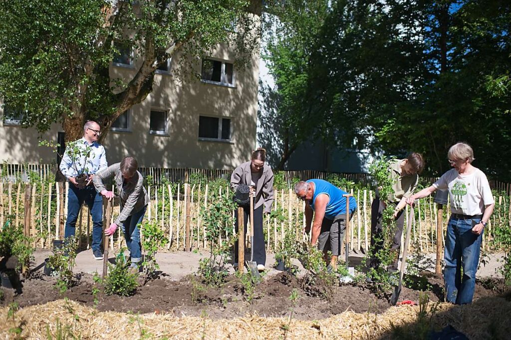 Bewohner bepflanzen einen Garten