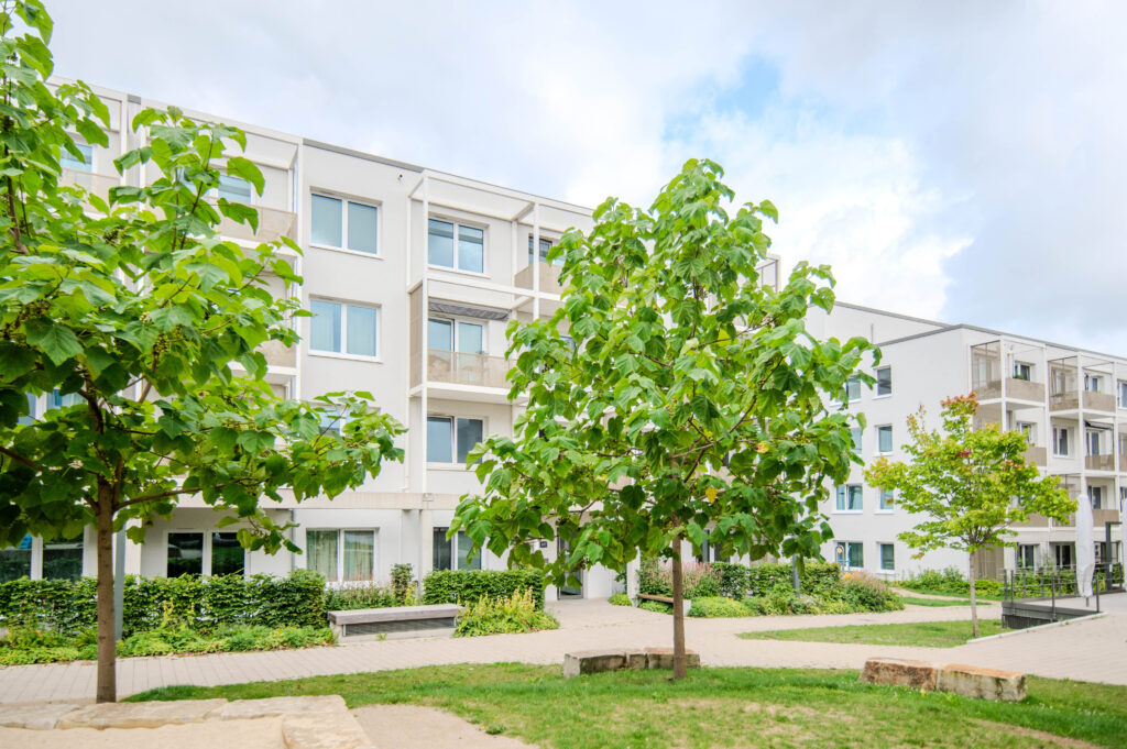 Baum auf einer Wiese