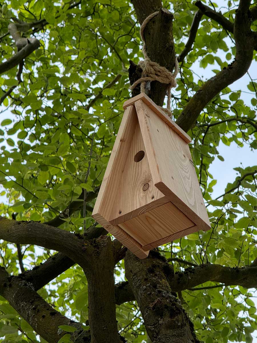 Ein Vogelhaus hängt in einem Baum