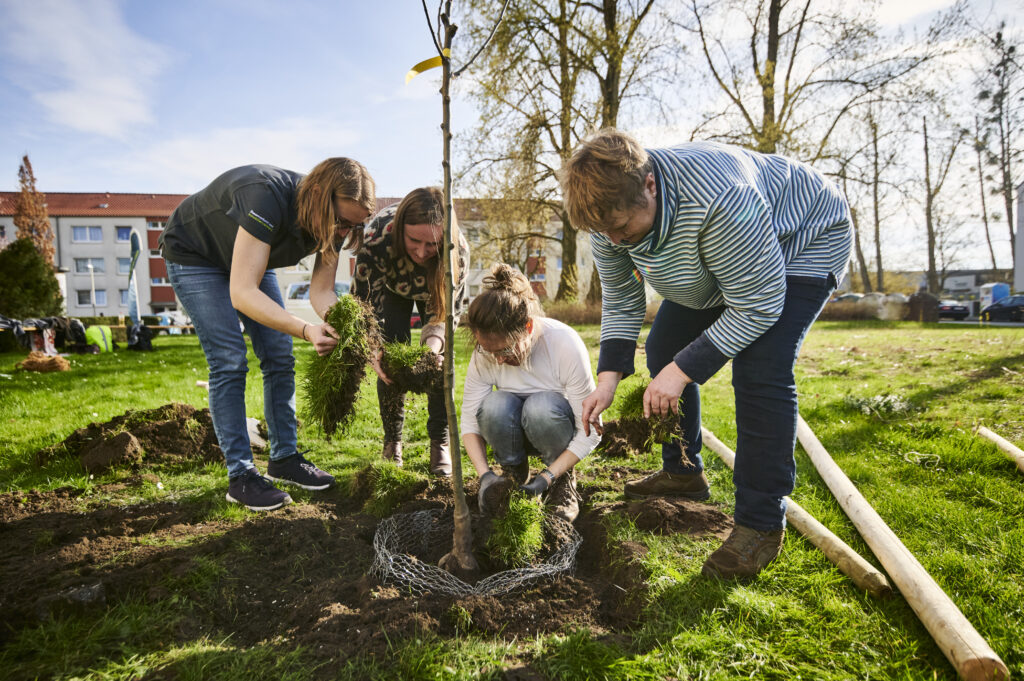 Vier Frauen pflanzen gemeinsam einen Baum